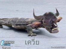 ตัวไร.......ว่ะ