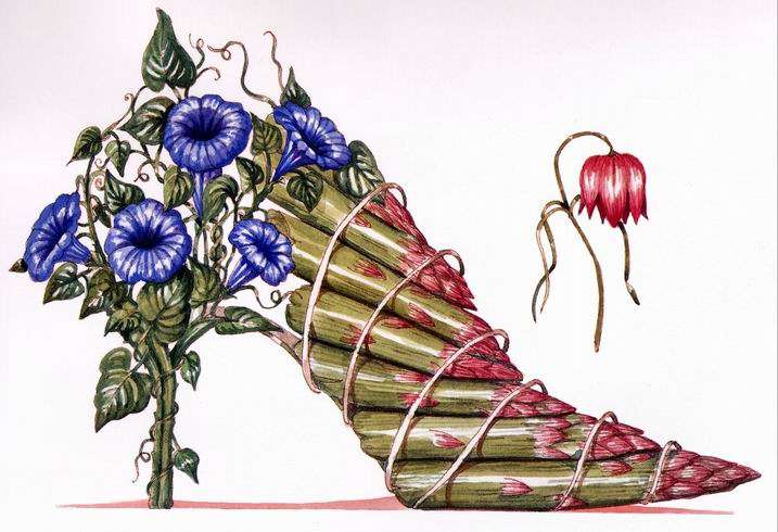 รองเท้าดอกไม้