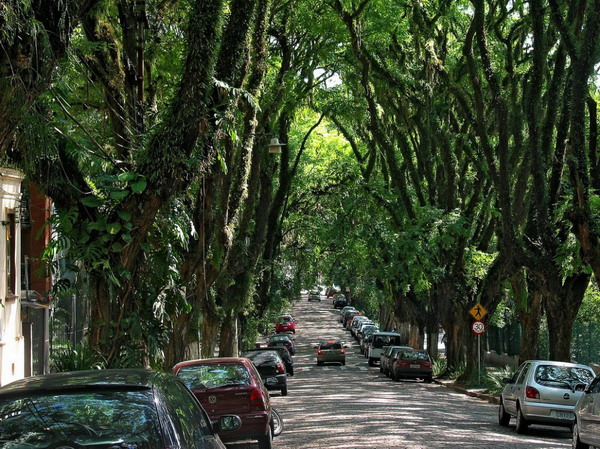 ถนนสีเขียว ถนน Rua de Carvalho Goncalo บราซิล