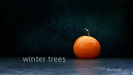 WiNtER  tREE