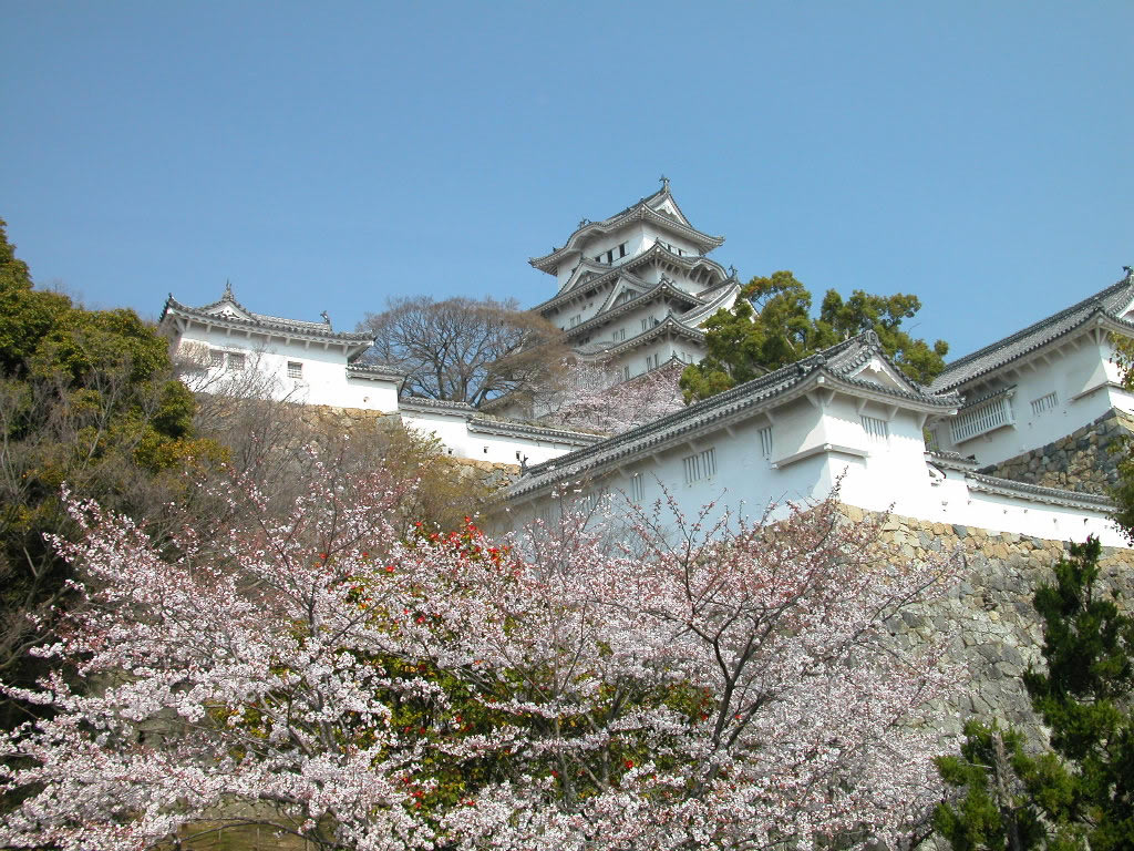 ดอกไม้บาน ณ Himeji Castle