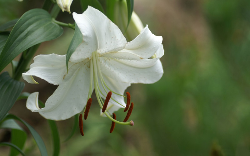 .. The flowers of happiness you can touch ..(o^.^o) 