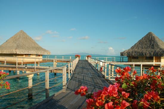 Teenee : Bora bora  ‘ﾟ･.｡.:* (o^.^o) 3