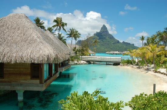 Teenee : Bora bora  ‘ﾟ･.｡.:* (o^.^o) 3