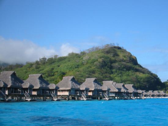 Teenee : Bora bora  ‘ﾟ･.｡.:* (o^.^o) 3