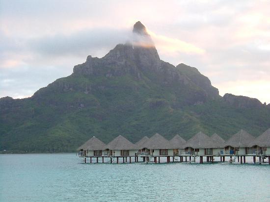 Teenee : Bora bora  ‘ﾟ･.｡.:* (o^.^o) 3