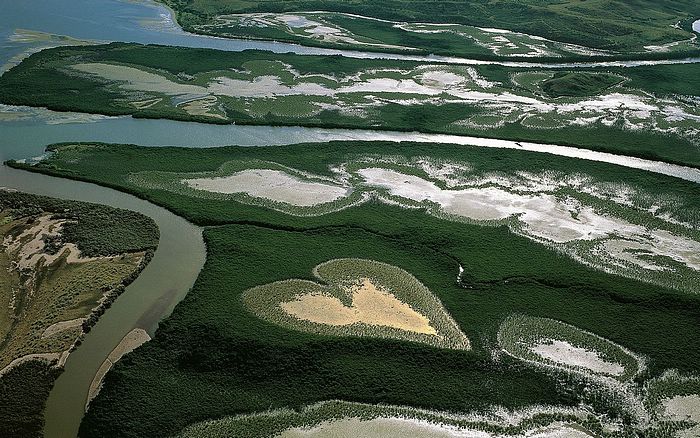 Heart in Voh, New Caledonia, France