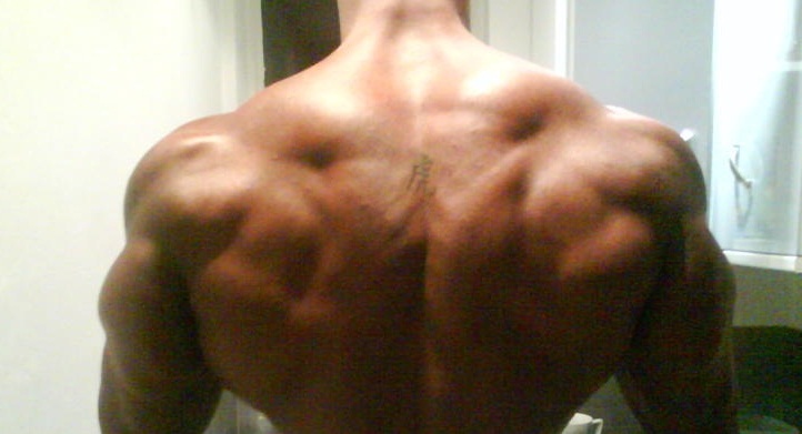 Bodybuilding back