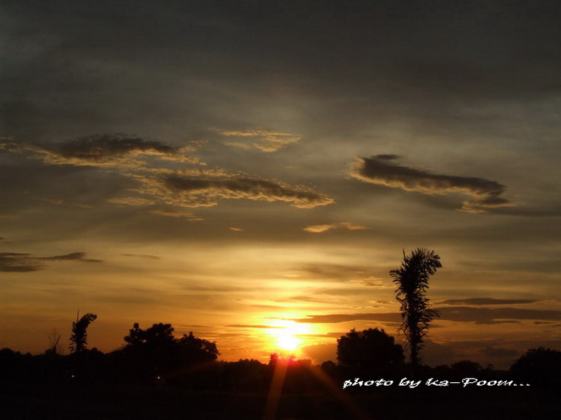 Sirius Eye In The Sky