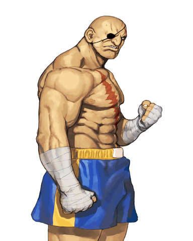 SAGAT : สุดยอดนักมวยจากเมืองไทย เป้นหัวหน้ารองในเกมส์ ต้นแบบมาจาก สกัด พรทวี บรมครูมวยไทยในสมัยก่อน