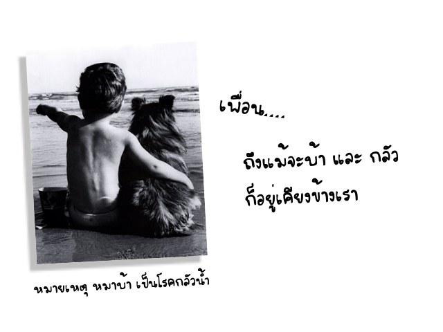 นี่แหละเพื่อน... แท้