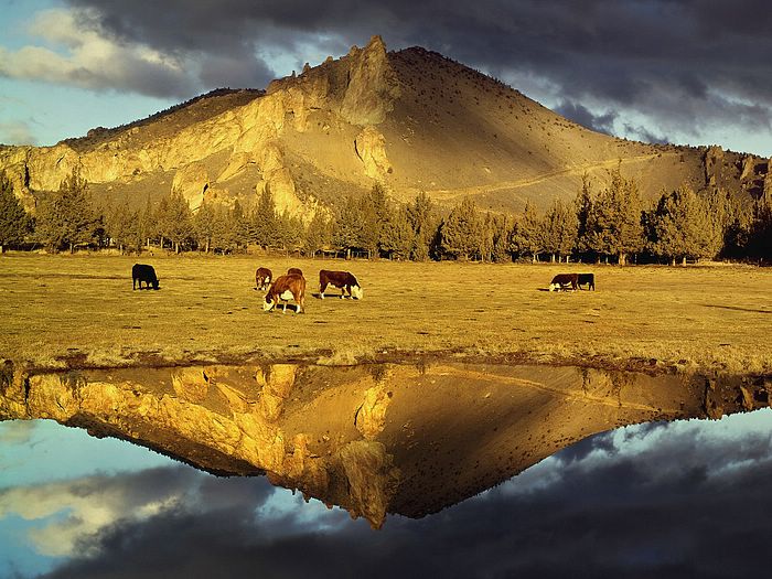 Mountain Reflection Near Smith Rock State Park Oregon