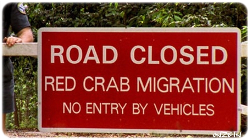 Crab Island เกาะส่วนตัวน้องปู