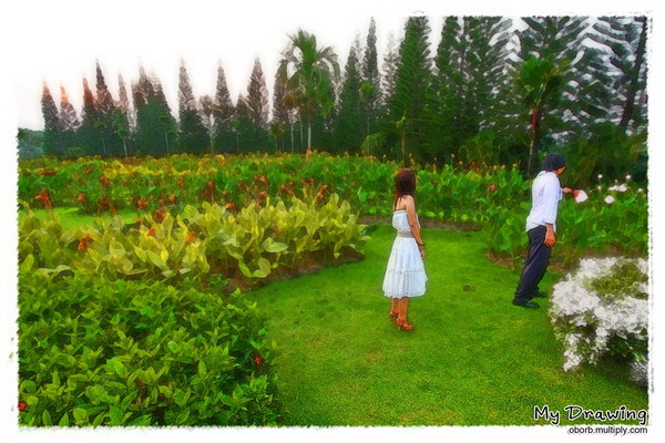 Prewedding สุดไอเดีย 2009 จาก PIXPRO\