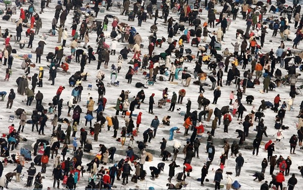 Festival Of Fishing Under Ice In South Korea