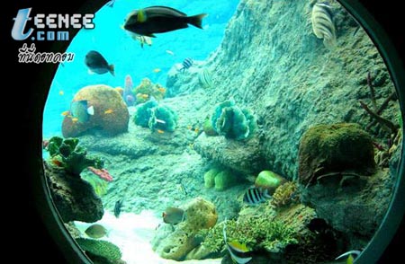 Underwaterworld at Pattaya
