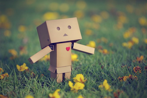 Danbo !! >> เจ้าหนูกล่องกระดาษ [Cute!!]