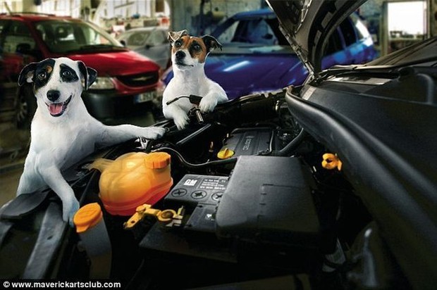สนใจซ่อมรถ กับ ผม มั้ยคร้าบบ..มะหมา เซอร์วิส