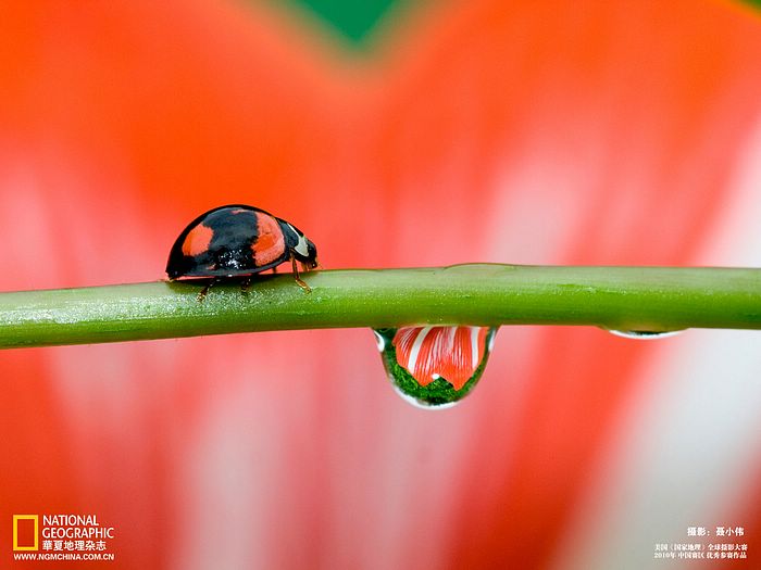 ภาพสวย ๆ จาำำก เนชั่นแนล จีโอกราฟฟิค