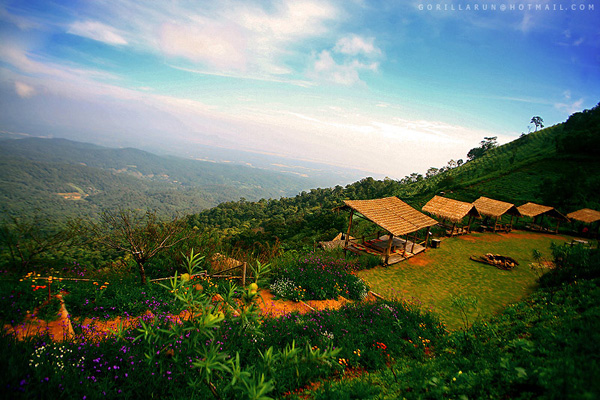 รวมที่สุดแห่งเมืองหนาว สถานที่ท่องเที่ยวช่วงปีใหม่