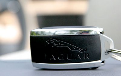 6_Jaguar
