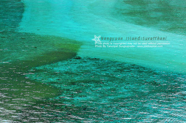 เกาะนางยวน ความนิ่งสงบของผืนน้ำสีฟ้า NANG YAUN ISLAND