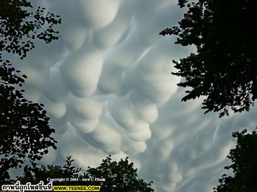 อันดับ 8 Mammatus Cloudsมฆ ลักษณะแบบเป็นกระเปาะยื่นลงมา คนทั่วไปมักจะนึกว่าเดี๋ยวจะมีพายุเข้ามารึเปล่าหว่า จริงๆแล้ว เมฆนีไม่ใช่สัญญาณเตือนอันตรายแต่อย่างใด แต่มักเกิดขึ้นหลังจากที่พายุทอร์นาโดพ้นผ่าน