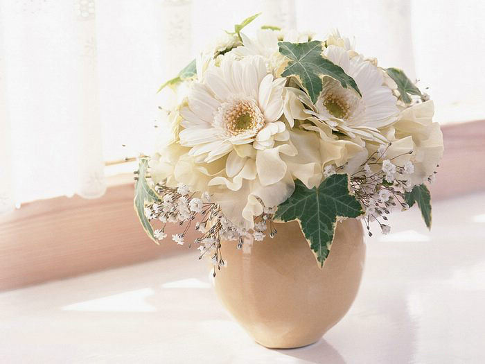 Lovely Floral Design •:*´¨`*:•. ღ ღ ღ 2