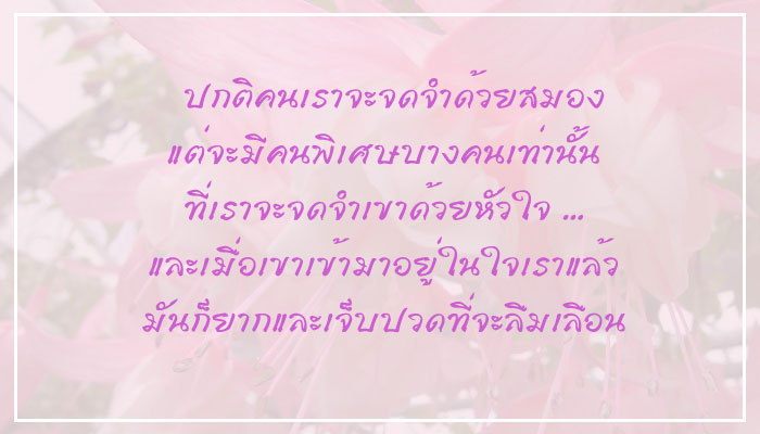 คำคมความรัก