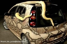 รถยนต์คันนี้ ... งู ช๊อบชอบ!!!