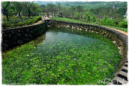 Zipper Pond in Taiwan