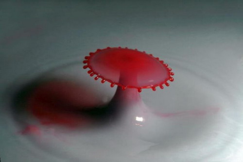 Amazing water drop photography