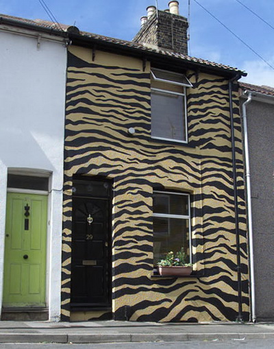 Incredible & Strangely Painted Homes