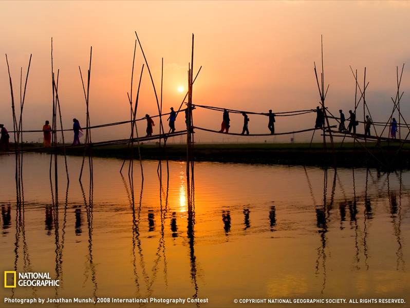 รวมภาพสิ่งมีชีวิตที่สวยงาม