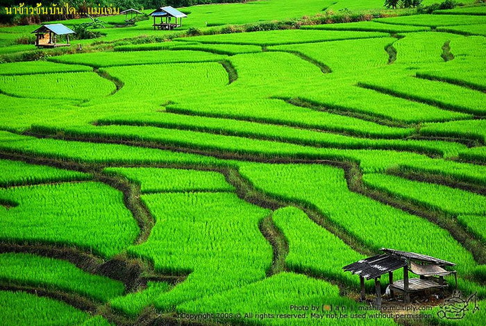 ส่วนหนึ่งในประเทศไทย