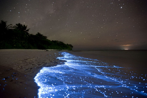 10. Sea of Stars on Vaadhoo Island in the Maldives แสงสวยงามที่ระยิบระยับตามแนวชายหาดของมัลดีฟส์