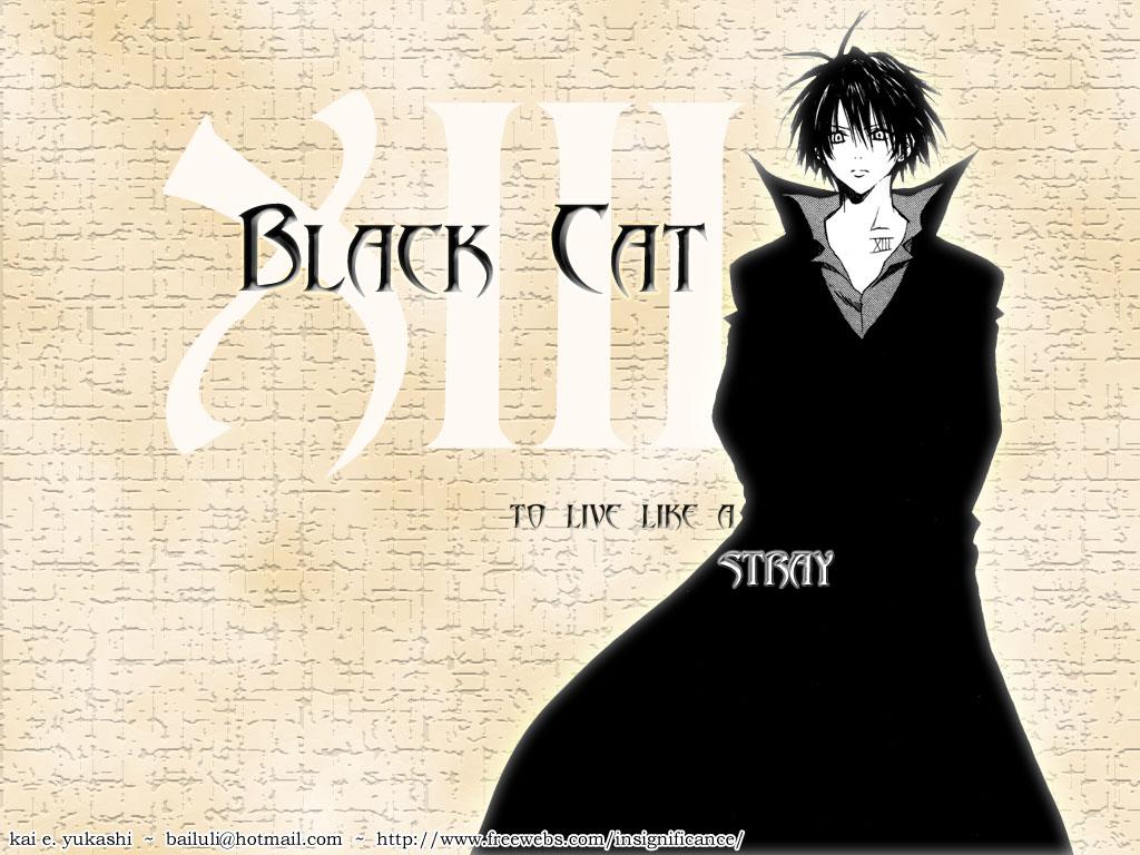 Black Cat ... ブラックキャット