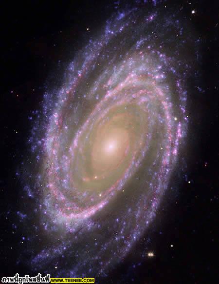 4. The Whirlpool Galaxy