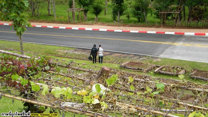 ภาพทริป!! ขอนแก่น-เขื่อนจุฬาภรณ์(ชัยภูมิ)+ภูเรือ(เลย)