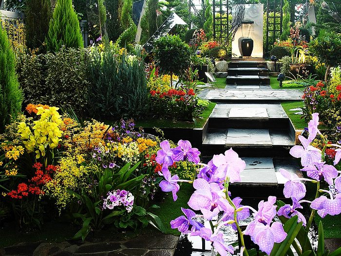 Flowers in Greenhouse ‧:﹎｡‧::‧ (^∇^) 