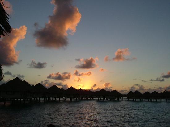 Teenee : Bora bora  ‘ﾟ･.｡.:* (o^.^o) 4