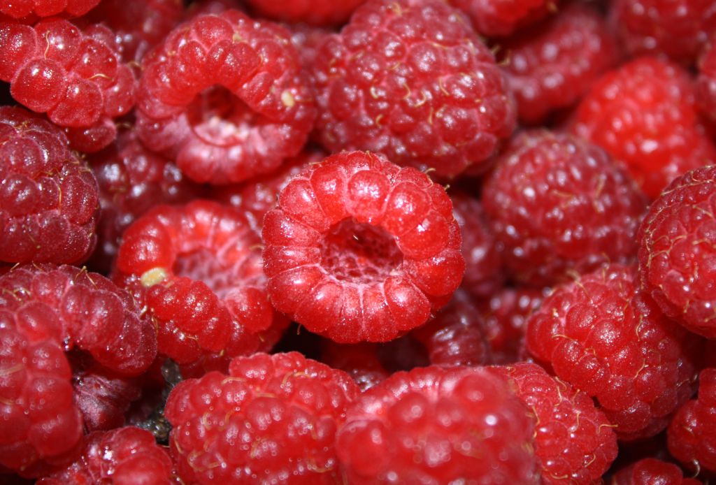 ราสเบอรี่สดๆ จากสวน (Raspberry)