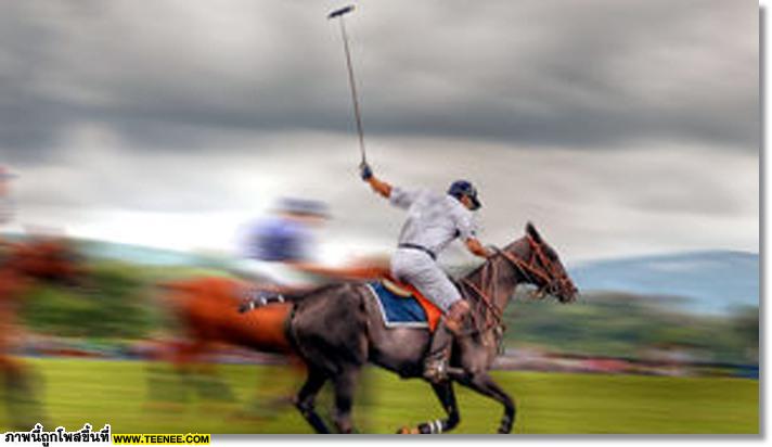 polo Horse