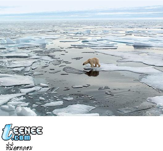 10.  น้ำแข็งขั้วโลกกำลังละลาย