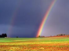 rainbow •°•.° ღ.