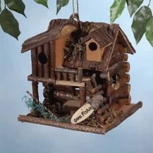 Bird Houses ไว้ที่บ้านซักหลังมั้ยจ๊ะ!!