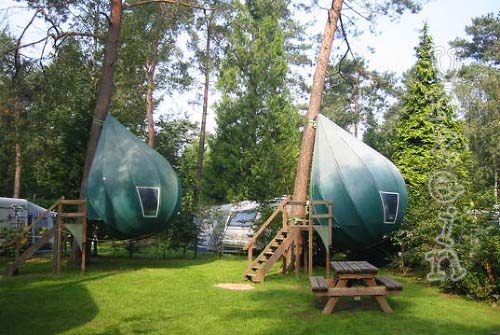 Dwedrop Tree Tents