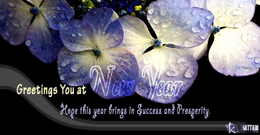 Happy New year ...