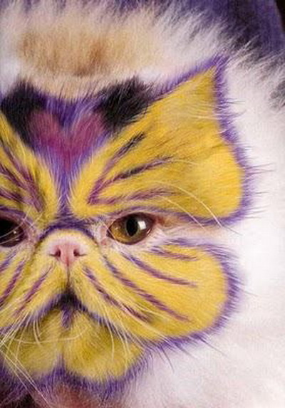 Painted Cats(แมวทาสี)