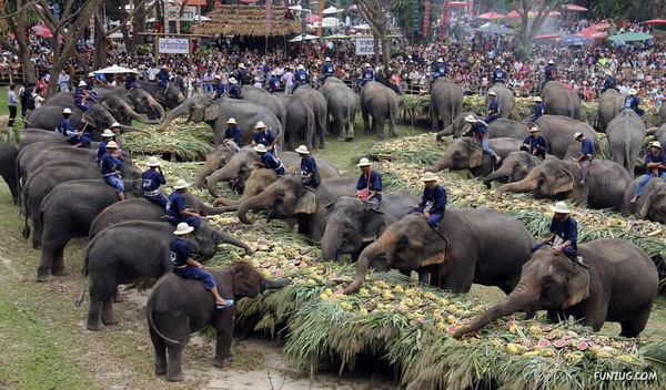 วันช้างในประเทศไทย